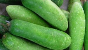 Bi Dao La Gi Cac Loai Bi Dao Pho Bien Bao Nhieu 1kg Va Lam Tipsnote 800x450 8